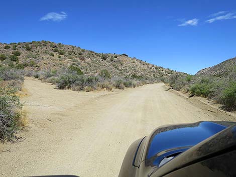 Christmas Tree Pass Road