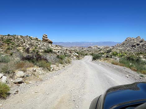 Christmas Tree Pass Road