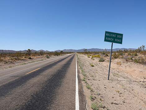 Walking Box Road