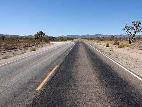 Walking Box Road