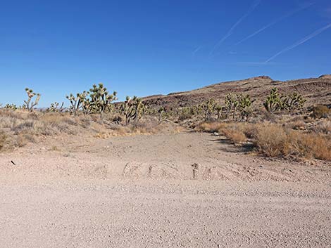 Walking Box Ranch Road