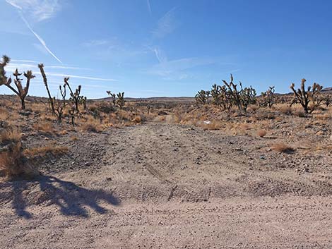 Walking Box Ranch Road