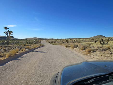 Walking Box Ranch Road