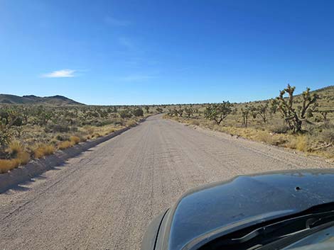 Walking Box Ranch Road