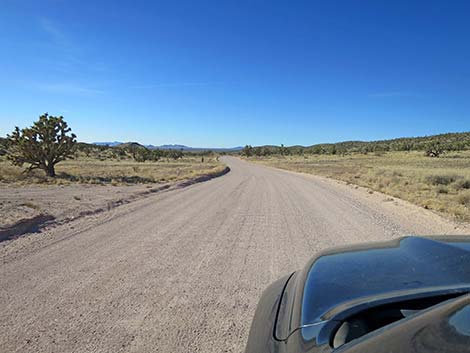 Walking Box Ranch Road