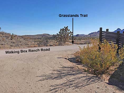 Grasslands Trailhead