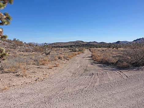 Grasslands Trailhead