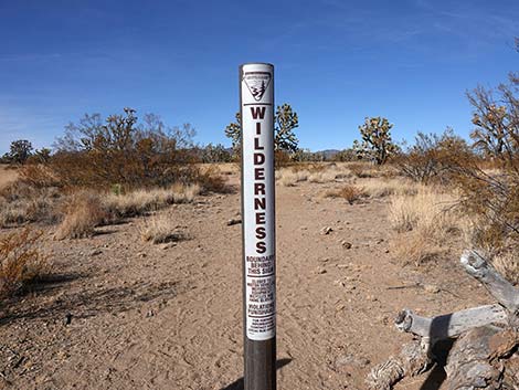 Wagon Road Trailhead