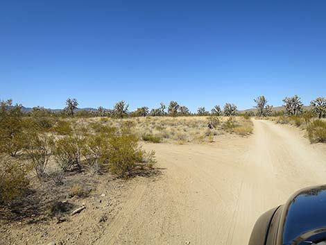 Wagon Road Trailhead