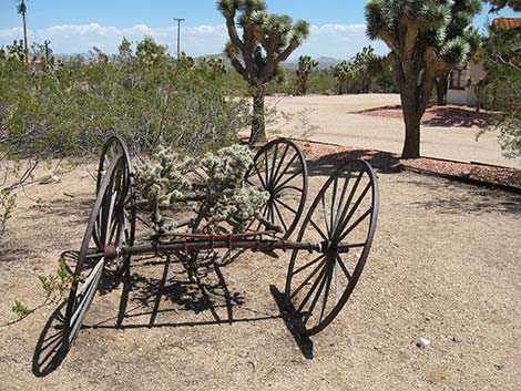 Walking Box Ranch