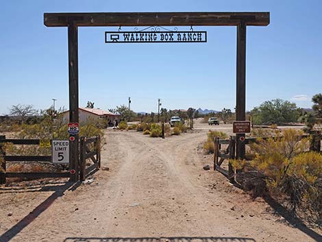 Walking Box Ranch