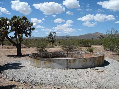 Walking Box Ranch