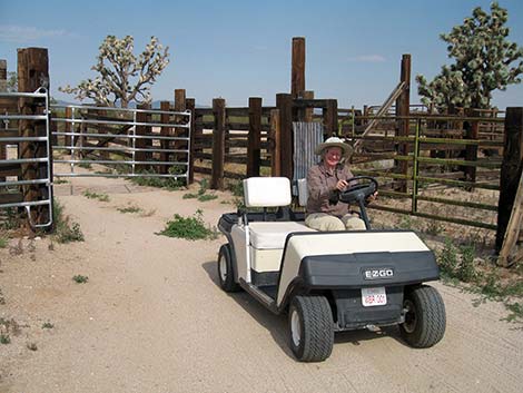 Walking Box Ranch, caretaker's job