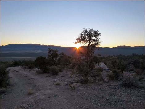 Leviathan Cave Trailhead Campsites