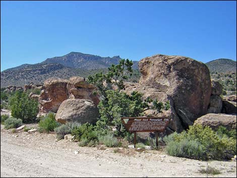 Mt. Irish Archeological Area