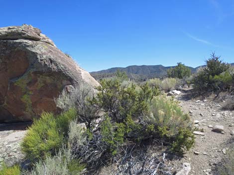 Paiute Rock