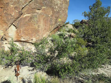 Paiute Rock