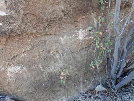 Paiute Rock