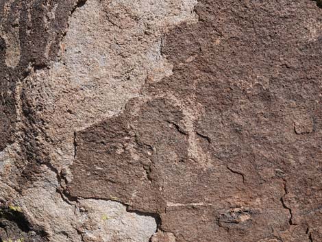 Paiute Rock Site 8