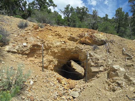 Rosario Mine