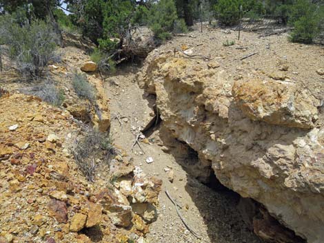 Rosario Mine