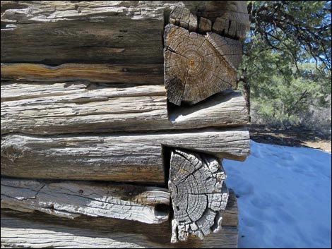 Rosie's Mining Cabin