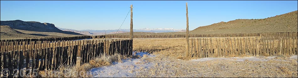 Timber Pass Corral