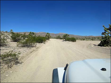 Badger Valley Road