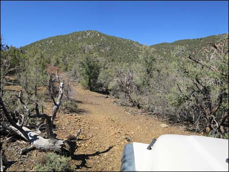 Badger Valley Road