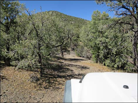 Badger Valley Road