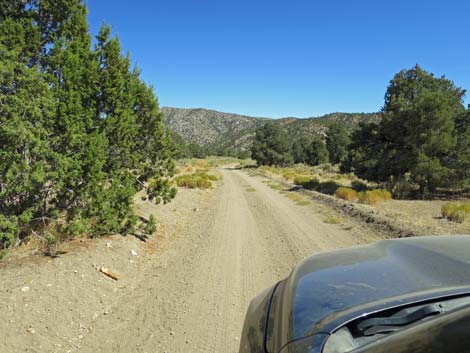 Cherry Creek Road