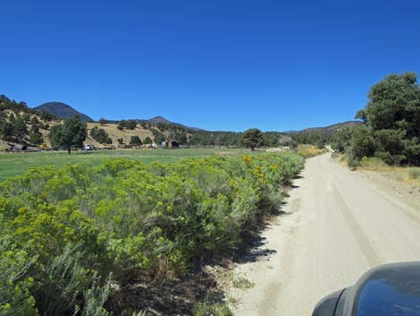 Cherry Creek Road