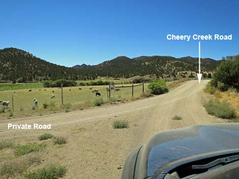 Cherry Creek Road