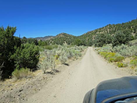 Cherry Creek Road