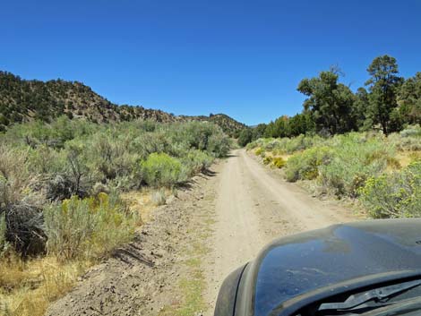 Cherry Creek Road