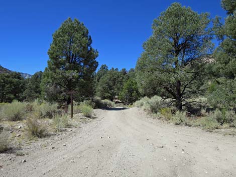 Cherry Creek Road