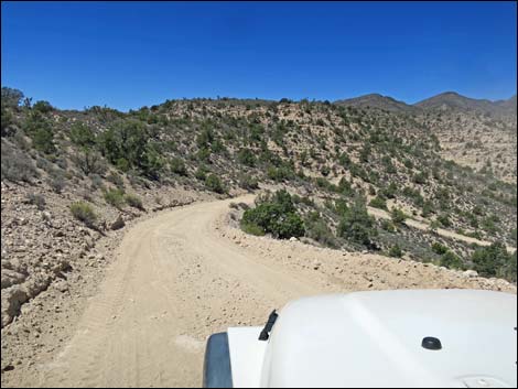 Curtis Canyon Road