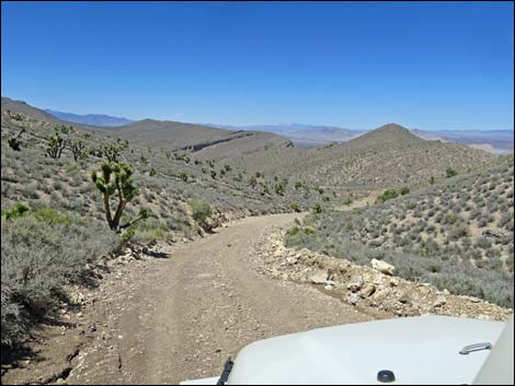 Curtis Canyon Road