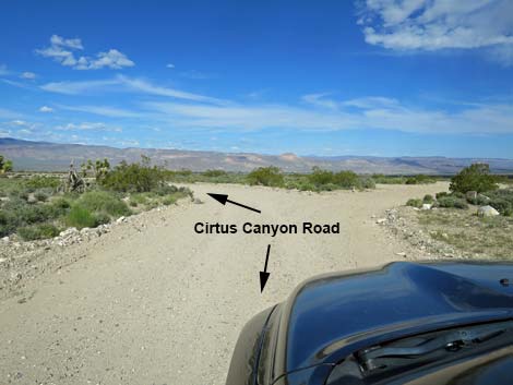 Curtis Canyon Road