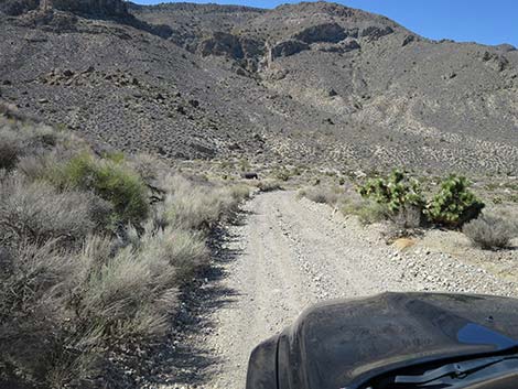 Curtis Canyon Road