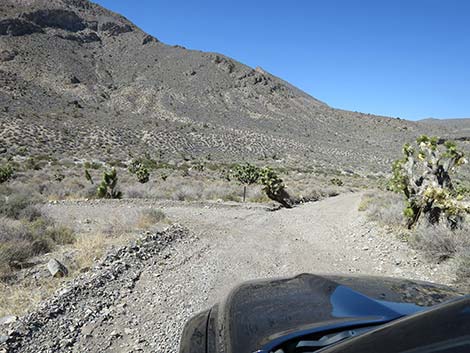 Curtis Canyon Road