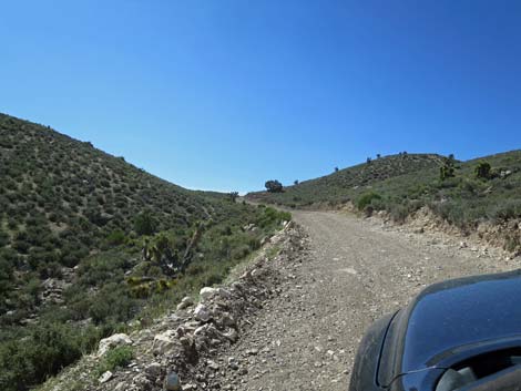 Curtis Canyon Road