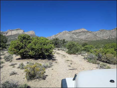 Leviathan Cave Road