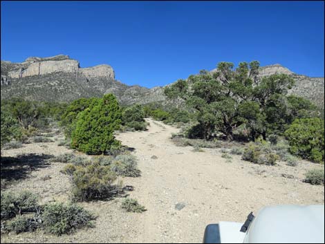 Leviathan Cave Road