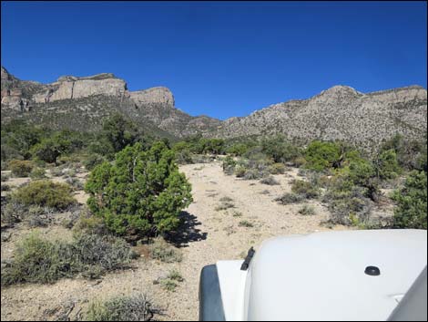 Leviathan Cave Road