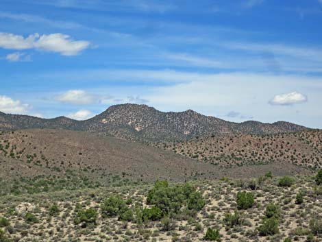 Logan Canyon Road