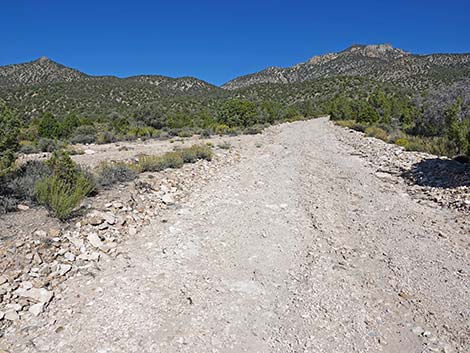 Logan Canyon Road