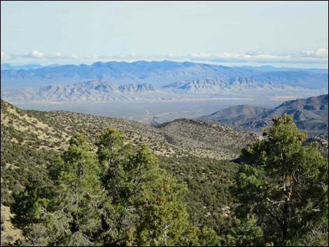 Logan Canyon Road