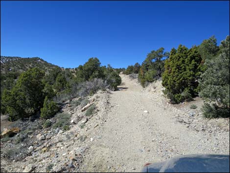 Logan Canyon Road