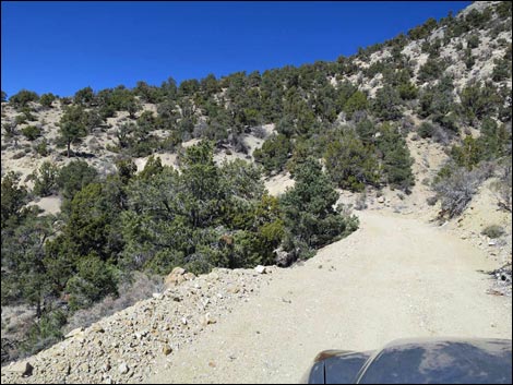 Logan Canyon Road